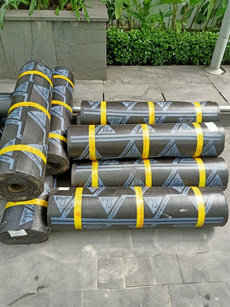 Chống thấm màng khò Sika